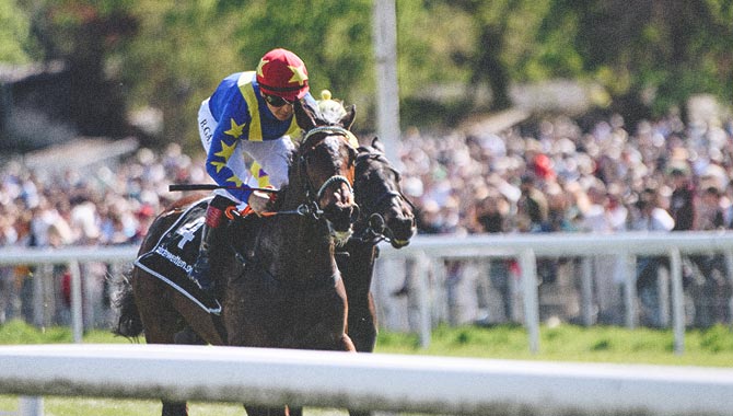 , World Pool sees 38% growth at Ebor Festival &#8211; uBetMobile.com