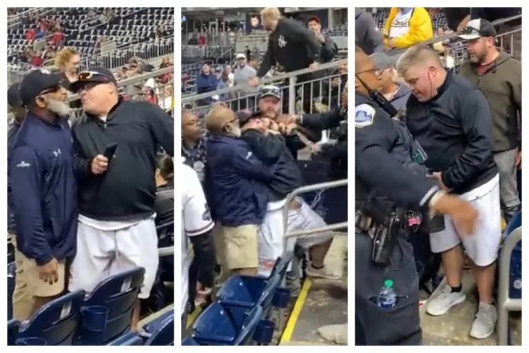 Fan Punches Usher At Nationals Game, Promptly Gets Put In A Headlock – uBetMobile.com