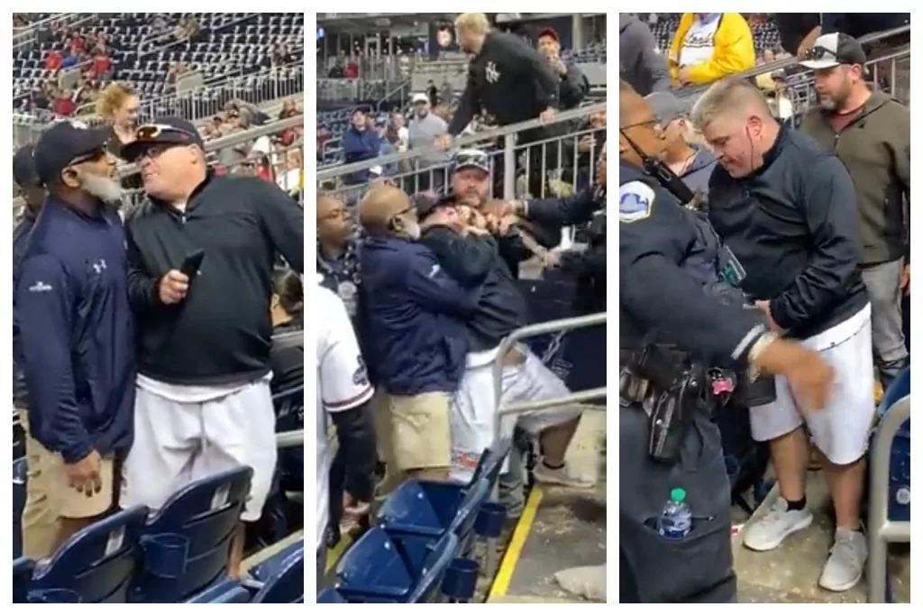 , Fan Punches Usher At Nationals Game, Promptly Gets Put In A Headlock &#8211; uBetMobile.com