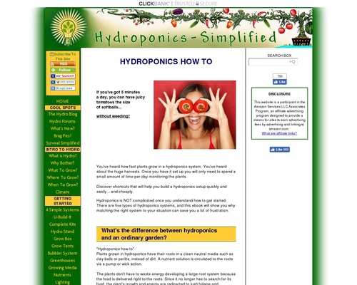 Getting Started In Hydroponics: Expert Tips, Plans &#038; Secrets &#8211; uBetMobile.com