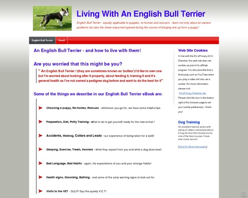 Learning To Live With An English Bull Terrier from Puppy To Adult &#8211; uBetMobile.com