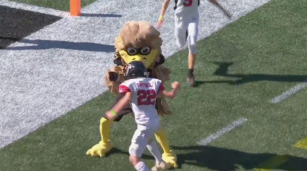 , Struggle Breaks Out After Falcons Mascot Lays Large Strike On Youth FB Player &#8211; uBetMobile.com