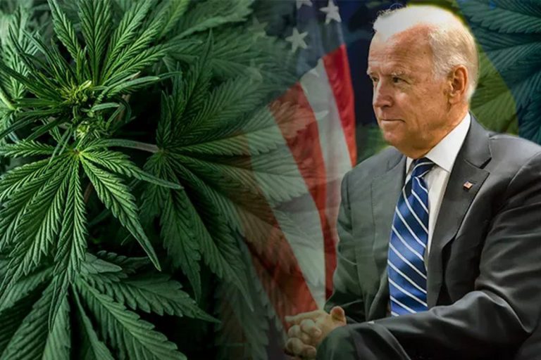 Marijuana Rescheduling Odds Remain Long Despite Biden Pardons – uBetMobile.com