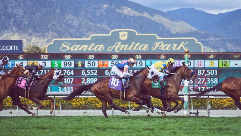 PointsBet Makes US Horse Racing Deal, Partners with Stronach Division – uBetMobile.com