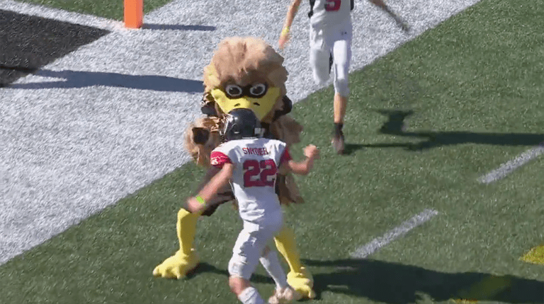 Struggle Breaks Out After Falcons Mascot Lays Large Strike On Youth FB Player – uBetMobile.com