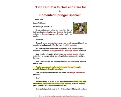 The Springer Spaniel Companion &#8211; a Complete Guide &#8211; uBetMobile.com