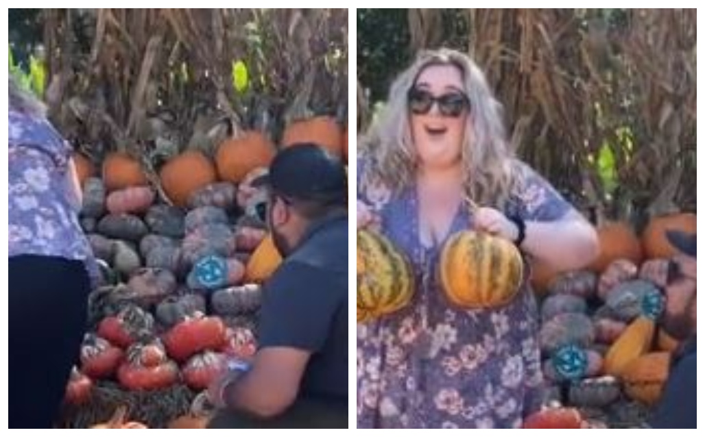 , Woman Almost Ruined Marriage Proposal With Pumpkin Boobs – OutKick &#8211; uBetMobile.com