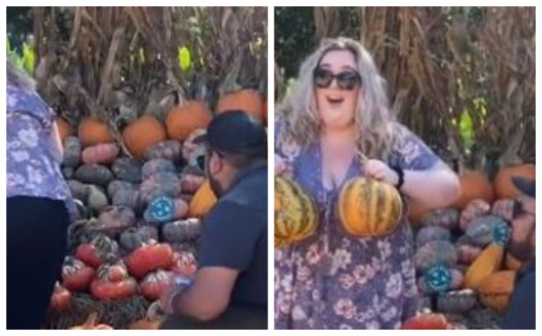 Woman Almost Ruined Marriage Proposal With Pumpkin Boobs – OutKick – uBetMobile.com