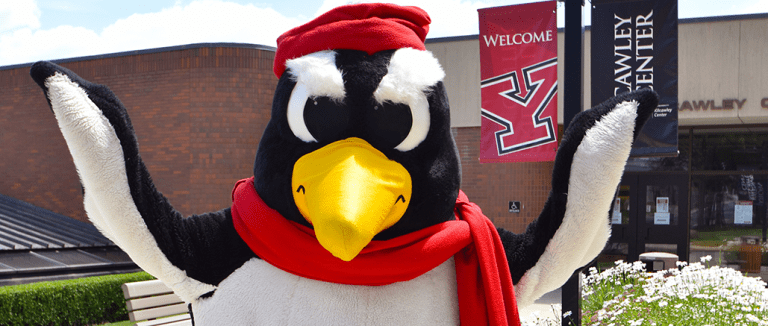 Youngstown State Unveils Incredible Homecoming Helmets With Penguins – uBetMobile.com