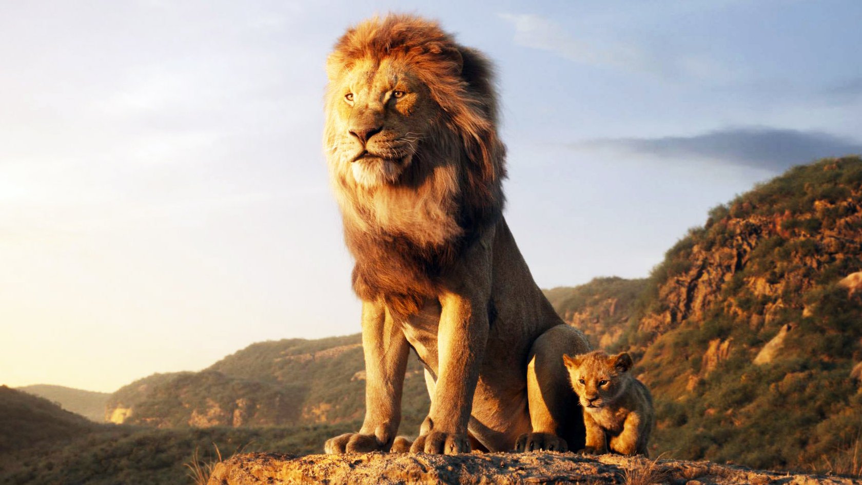 , ‘Lion King’ Sign-Language Interpreter Says He Was Fired For Being White &#8211; uBetMobile.com