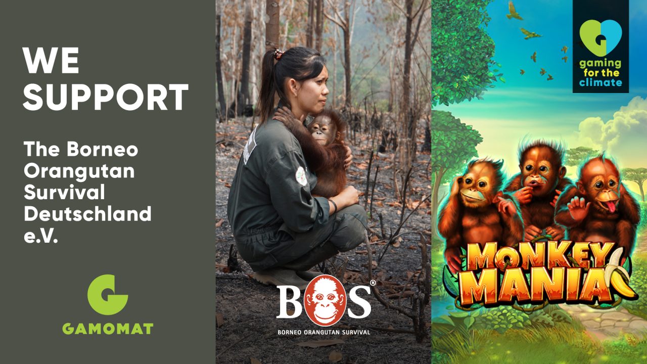 GAMOMAT’s Monkey Mania to support Borneo Orangutan Survival (BOS) as part of Gaming for the Climate initiative – European Gaming Industry News &#8211; uBetMobile.com