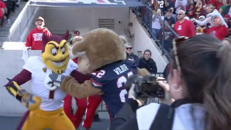 ASU Solar Satan, Arizona Wildcat Trade Substantial Haymakers In Mascot Struggle – uBetMobile.com