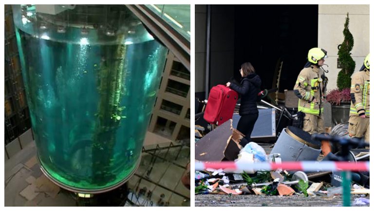 An Aquarium Exploded And Now There’s 1,500 Fish And Tons Of Water All Over The Street – Mobile Betting Online – uBetMobile.com