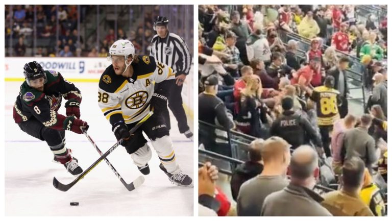 Fan Had Their Fingertip Bitten Off All through Wild Brawl Involving Bruins-Coyotes Fans – Mobile Betting On the net – uBetMobile.com