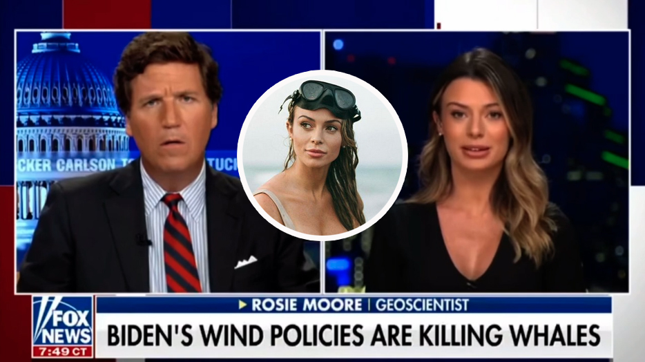 , Rosie Moore, The World&#8217;s Most popular Geoscientist, Has A Issue With Joe Biden&#8217;s Wind Policy – Mobile Betting On the net &#8211; uBetMobile.com