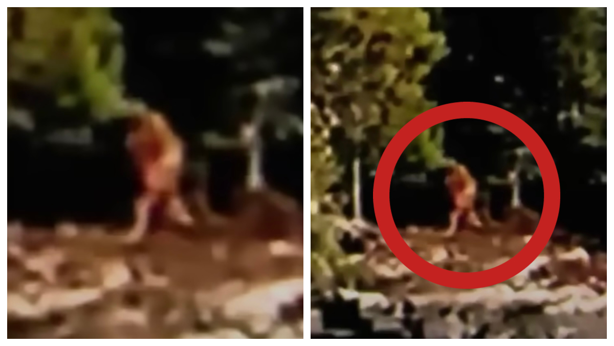 , Was A Bigfoot Filmed In Canada? – Mobile Betting Online &#8211; uBetMobile.com