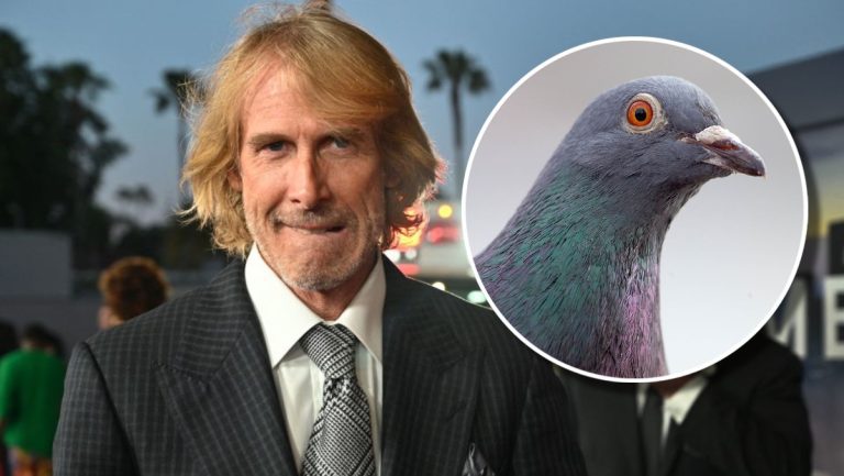 Michael Bay, Attorney Refute Claim Of Charges For Killing Pigeon – uBetMobile.com