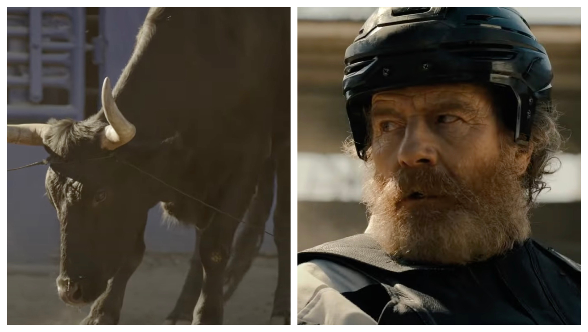 , PETA Throws A Fit Over Bull Rodeo Scene In &#8216;Your Honor&#8217; – Mobile Betting Online &#8211; uBetMobile.com