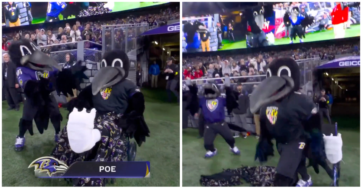 , Ravens&#8217; Mascot &#8216;Poe&#8217; Has Electric powered Return Following Tearing ACL: Video clip &#8211; uBetMobile.com