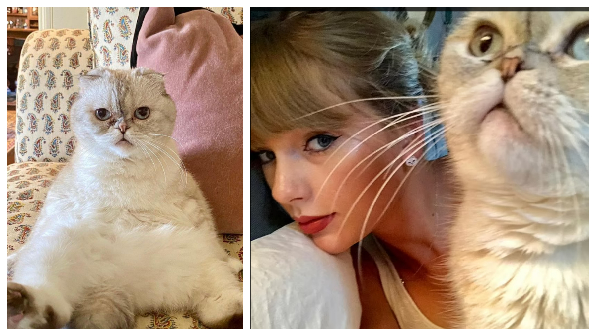 , Taylor Swift&#8217;s Cat Is Worth More Money Than You (And Your Entire Family) &#8211; uBetMobile.com