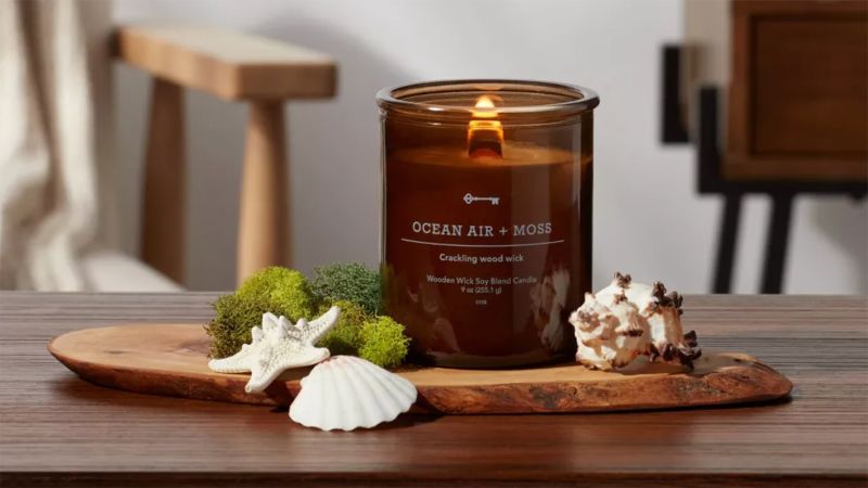 , 33 candles beneath $25 that do not look low cost (we promise!) | News and Gossip