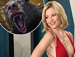 Cocaine Bear director Elizabeth Banks DEFENDS scene the place 12-yr-olds take cocaine