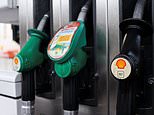 Price of filling-up disaster: Drivers face paying £400 more on petrol this 12 months – uBetMobile.com