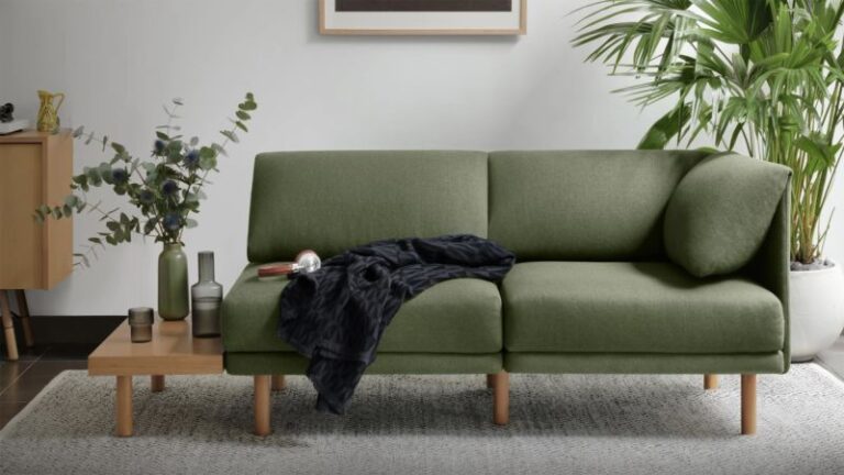 Furnishings: Burrow, Wayfair, Home Depot and Lowe’s are all providing nice offers | News and Gossip