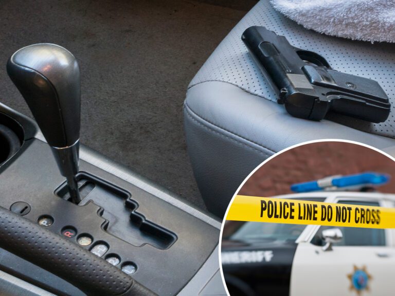 Woman, 6, Shoots Grandmother After Discovering Gun in Automotive: Police | News and Gossip