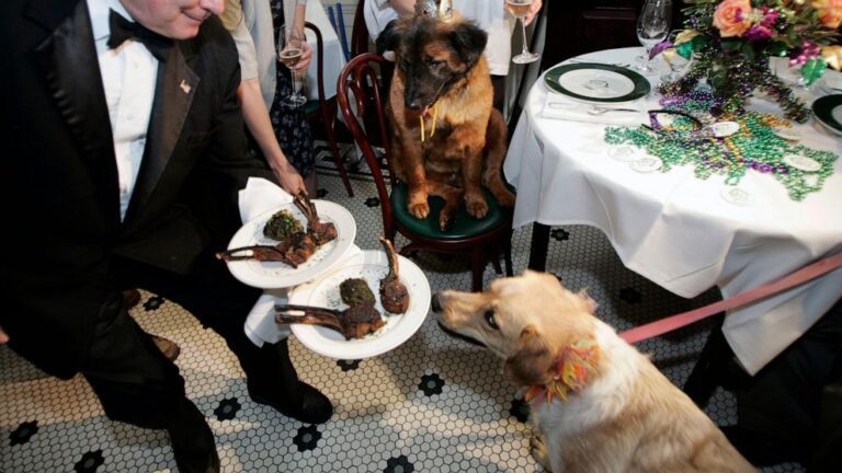 Joyous parades and events kick off New Orleans’ Mardi Gras | News and Gossip