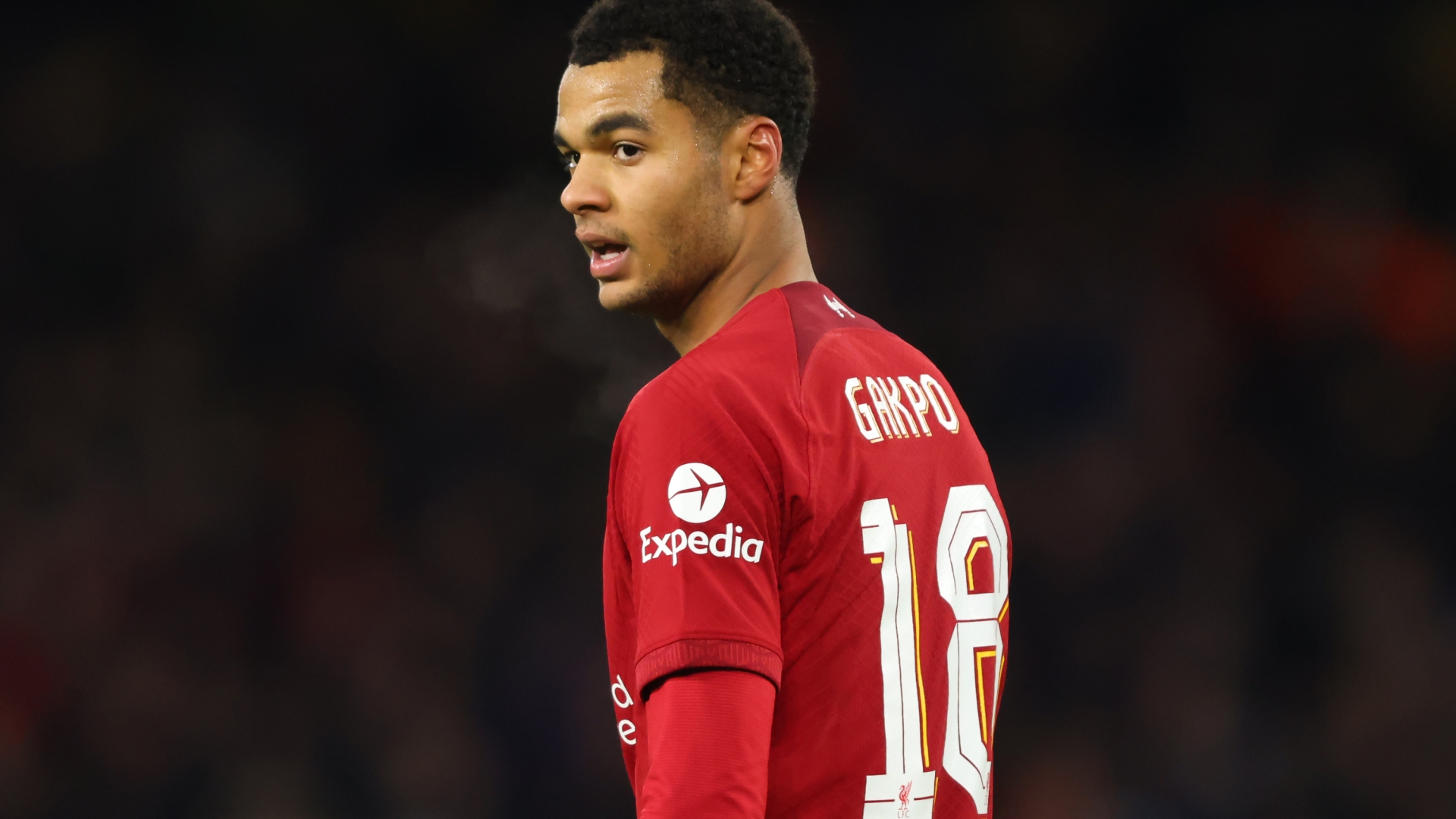 , PSV boss Ruud van Nistelrooy insists Cody Gakpo made Manchester United mistake by choosing ’10 times smaller’ Liverpool in switch window | News and Gossip