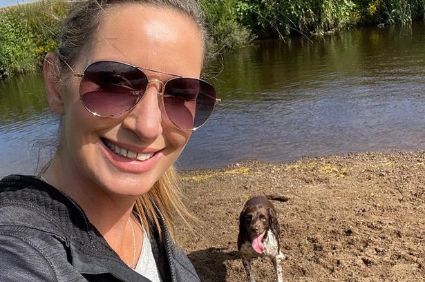 Footage of Nicola Bulley&#8217;s canine swimming in river may blow key police concept aside | News and Gossip