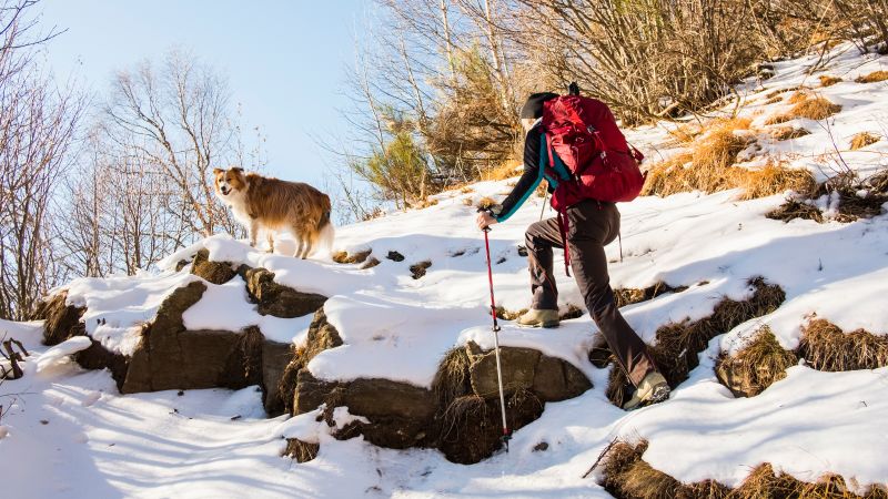 , The most effective winter mountaineering necessities, based on specialists | News and Gossip