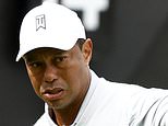 Tiger Woods has formally made the reduce at Genesis Invitational