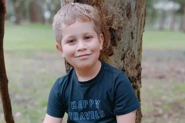 ‘Time stood nonetheless’ for vacationers who discovered boy electrocuted whereas enjoying with frogs | News and Gossip